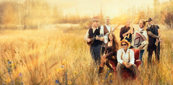 DEN SVENSKA SÅNGBOKEN