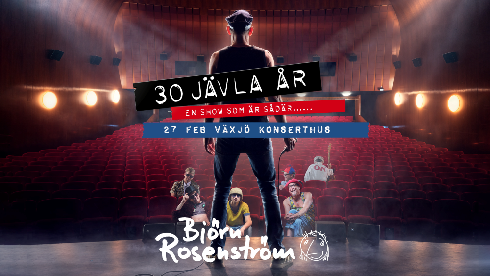 Björn Rosenström – 30 jävla år